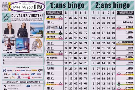 hur mycket kostar en bingolott